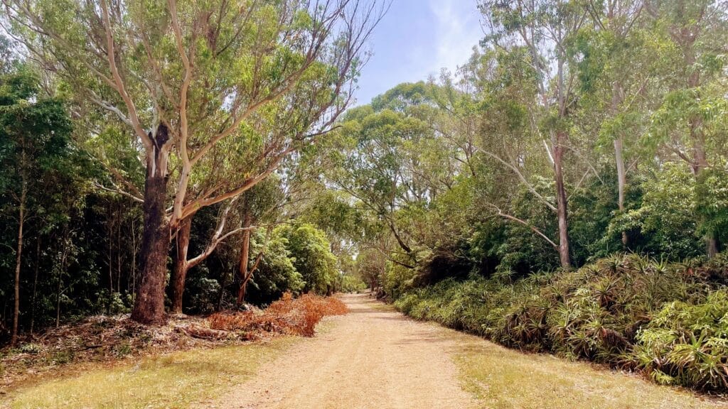 sendero en arboretum lussich